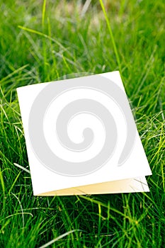 Side view of white cardboard empty postcard mock-up of lawn green grass in park on sunny summer day