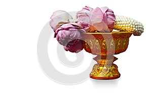 side view white and pink lotus flowers garland on golden phan on white background, nature, religion, buddha, worship, copy space