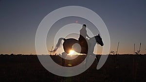 Side view of woman horseback riding during sunset. Slow motion