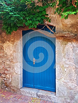 Side view of a wooden blue door in stone wall and vines growing above. Blue wooden front door. Old wooden door on stone facade