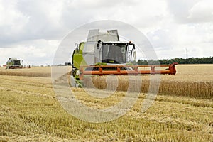 Side view on working wheat harvesters combine machine on gold wheat fields in summer. Europe wheat, rye harvesting