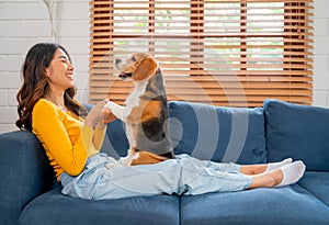Side view of young Asian girl hold foreleg of beagle dog stand on her lap on the sofa in the house with day light and they look