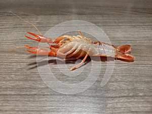 Side view of young lobster upside down