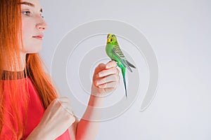 The beautiful woman admires her beautiful parrots