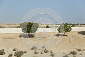 Side Way Desert of Abu Dhabi Road, UAE