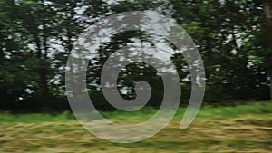 Side window view of trees, passenger seat of car van wagon in motion. Background. Roadway out of town. Summer, sunny