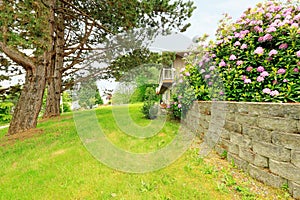 Side yard with blooming bushes