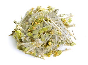 Sideritis, also known as ironwort, mountain tea and shepherd`s tea. Isolated on white