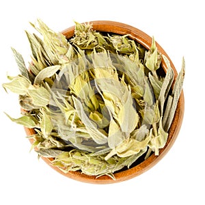 Sideritis, Greek mountain tea in wooden bowl over white