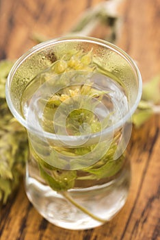 Sideritis taurica tea on wooden background