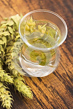 Sideritis taurica tea on wooden background