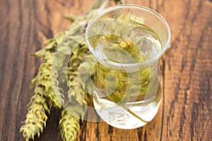 Sideritis taurica tea on wooden background