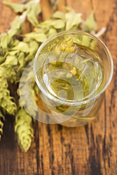 Sideritis taurica tea on wooden background