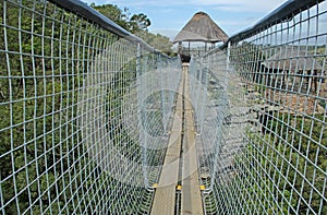 SIDES OF SUSPENSION BRIDGE OVER ORIBI GORGE