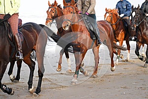 Sideview group horseback riding on the beach