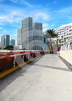 sidewalk along Biscayne Bay