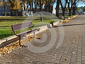 Sidewalk bench, Autumn in Prescott