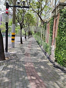 sidewalk of bricks and green trees near buildings with signs on both sides