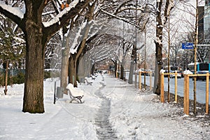 Sidewalk in Bucharest, Romania, covered with snow, and a narrow footpath pointing ahead, framed by trees on both sides