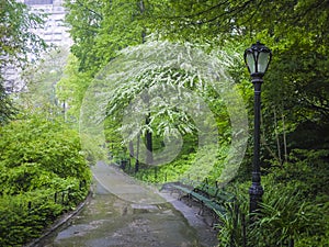 Sidewalk in Central Park, New York City