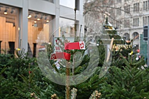 Sidewalk Christmas trees sale in the city center.