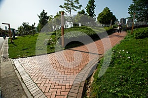 The sidewalk embedded with bricks in the park
