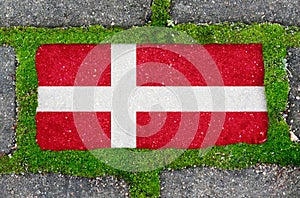 On the sidewalk in green moss, paving slabs with the image of the flag of Denmark.