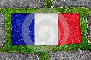 On the sidewalk in green moss, paving slabs with the image of the flag of France.