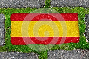 On the sidewalk in green moss, paving slabs with the image of the flag of Spain.