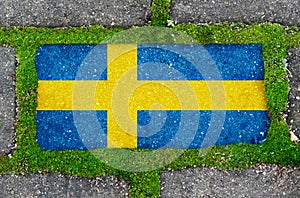 On the sidewalk in green moss, paving slabs with the image of the flag of Sweden.