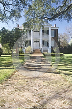 Sidewalk leading to Rosalie mansion in historic Southern Natchez, MS
