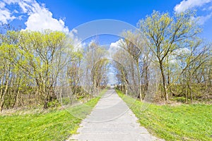 Sidewalk on a levee at the Baltic Sea
