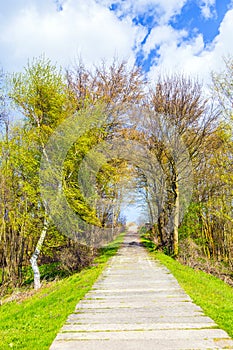 Sidewalk on a levee at the Baltic Sea