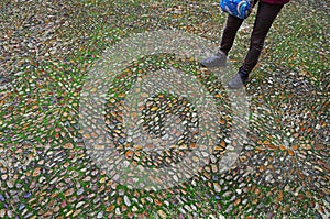 The sidewalk is lined with oval stones