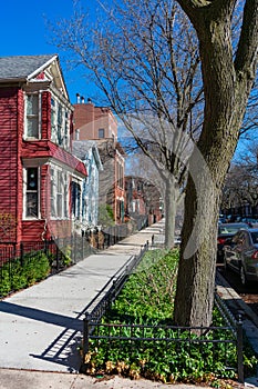 Sidewalk with Trees and Homes in Lincoln Park Chicago