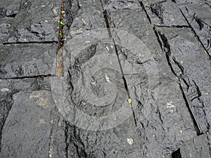 A sidewalk made of hewn stones of a rectangular shape. Abstract stone background.