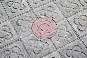 Sidewalk with panot tiles with flower inside and the red Ruta Modernista panot in Barcelona, Catalonia, Spain photo