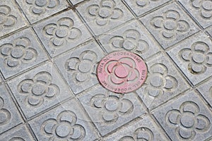 Sidewalk with panot tiles with flower inside and the red Ruta Modernista panot in Barcelona, Catalonia, Spain photo