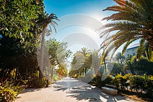 Sidewalk on the Paseo del Parque in Malaga, Spain