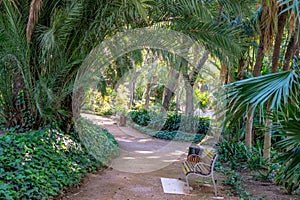 Sidewalk on the Paseo del Parque in Malaga, Spain with palm tree jungle