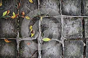 Sidewalk pattern as a background