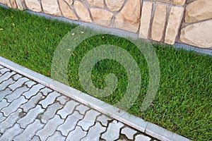 Sidewalk paved with cement bricks and lawn with green grass