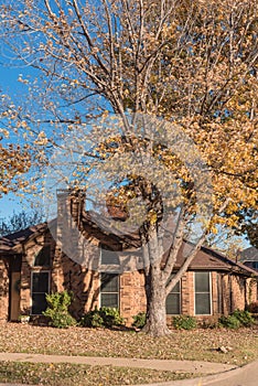 Sidewalk in residential neighborhood with colorful autumn leaves near Dallas