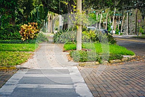 Sidewalk in Thornton Park, Orlando