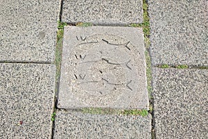 Sidewalk tile with three fish