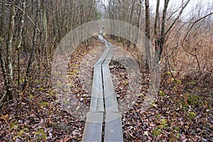 Unmarked wooden walkway through mud with person