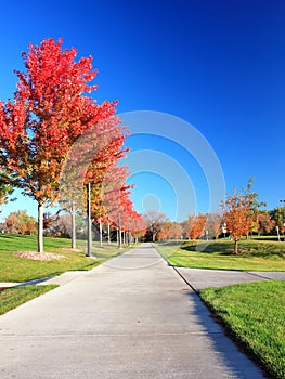 Sidewalk verticalview