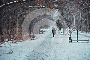sidewalk in a winter park and walking people