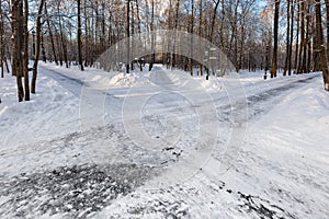 Sidewalks in the Ostankino Park. Moscow.