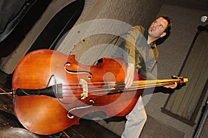 Sideways Double Bass Player